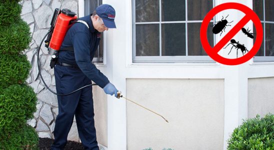Çaykara Böcek İlaçlama böcek ilaçlama ve haşere kontrolü — ilaclama-tr.com